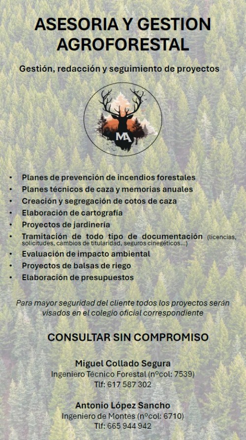 imagen de Gesti&oacute;n , redacci&oacute;n y seguimiento de proyectos